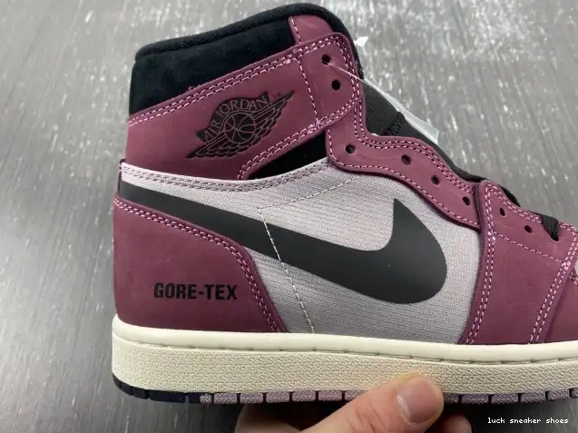 Reps LUCY 1 Gore-Tex Element DB2889-500 Jordan Air 0424